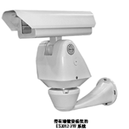 Pelco ES3012-5W 派爾高護(hù)罩云臺一體機(jī)